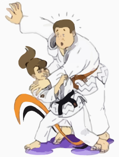 judo-295100_1280
